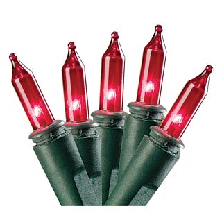 Holidaybasix U10Y082C Light Set, 100-Lamp
