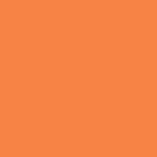 Benjamin Moore Tangerine Melt (091)