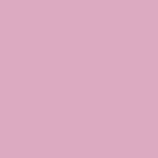 Benjamin Moore Pink Pansy (2083-50)