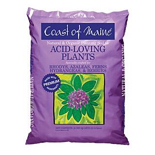 Coast of Maine Acid-Loving Plants Soil, 20 qt.