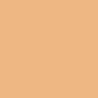 Benjamin Moore Beeswax (2157-40)