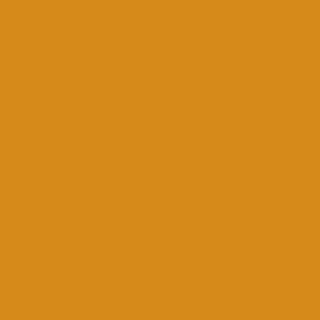 Benjamin Moore Desert Sunset (2155-10)
