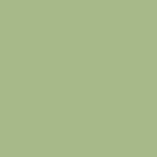 Benjamin Moore Central Park (431)