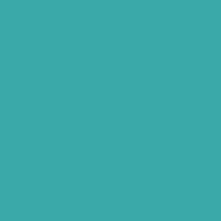 Benjamin Moore Palm Coast Teal (733)