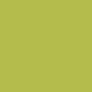Benjamin Moore Limeade (CSP-865)