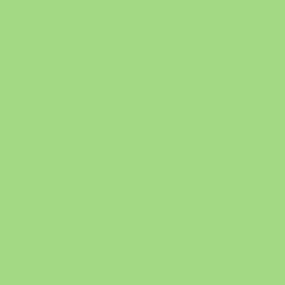 Benjamin Moore Leprechaun Green (557)