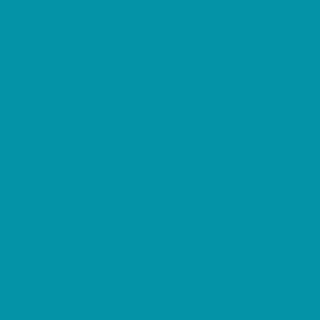 Benjamin Moore Meridian Blue (761)