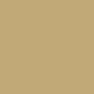 Benjamin Moore Avant Garde (272)