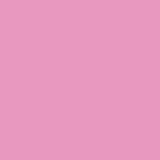 Benjamin Moore Island Sunset (1346)
