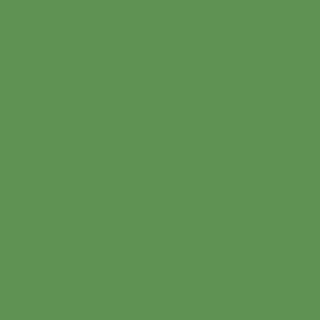 Benjamin Moore Richmond Green (553)