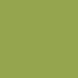 Benjamin Moore Huntington Green (406)