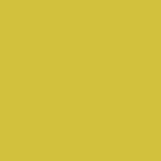 Benjamin Moore Citrus Burst (364)