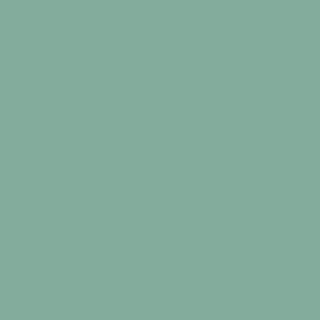 Benjamin Moore Everglades (641)