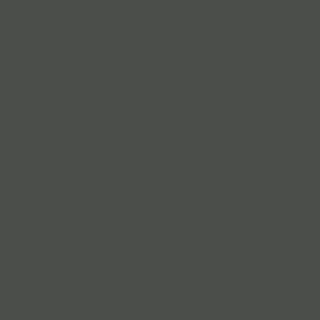 Benjamin Moore Deep River (1582)