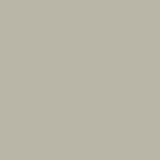 Benjamin Moore Northern Cliffs (1536)