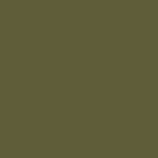 Benjamin Moore Palmer Green (CW-475)