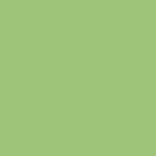 Benjamin Moore Fresh Grass (426)