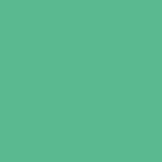 Benjamin Moore Arlington Green (580)