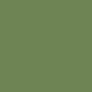Benjamin Moore Courtyard Green (546)