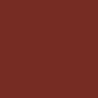 Benjamin Moore Country Redwood (PM-16)