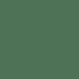 Benjamin Moore Balsam (567)