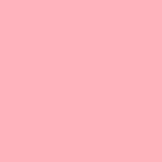 Benjamin Moore Tickled Pink (2002-50)