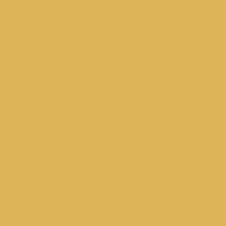 Benjamin Moore Damask Gold (CW-405)