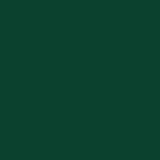 Benjamin Moore Chrome Green (HC-189)