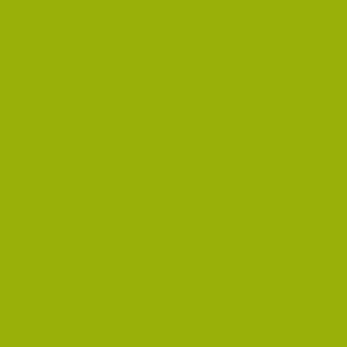 Benjamin Moore Dark Lime (2027-10)