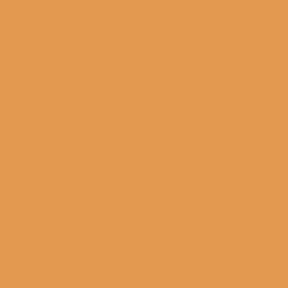 Benjamin Moore Brilliant Amber (161)