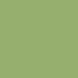 Benjamin Moore Kiwi (544)