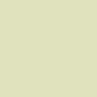 Benjamin Moore Chameleon (526)