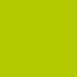 Benjamin Moore Bright Lime (2025-10)