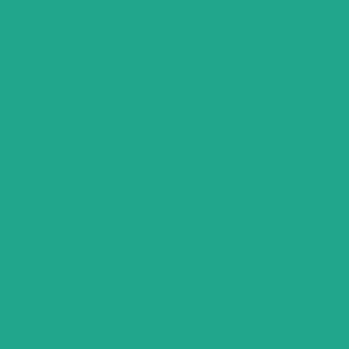 Benjamin Moore Albuquerque Teal (607)