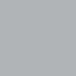 Benjamin Moore Silent Night (1613)