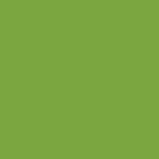 Benjamin Moore Rosemary Green (2029-30)