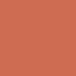 Benjamin Moore Rich Coral (028)