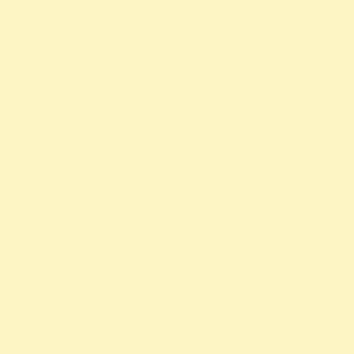 Benjamin Moore Light Yellow (2022-60)
