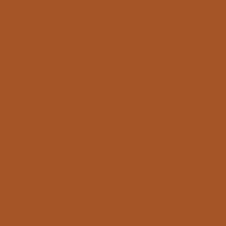 Benjamin Moore Tandoori (CSP-1105)