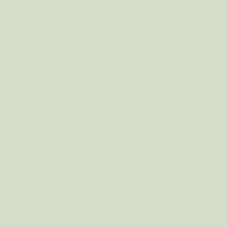 Benjamin Moore Mint Chocolate Chip (436)
