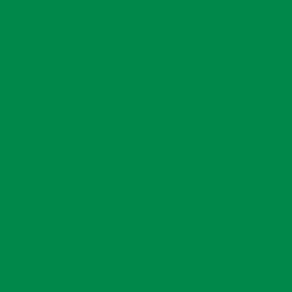 Benjamin Moore Jade Green (2037-20)
