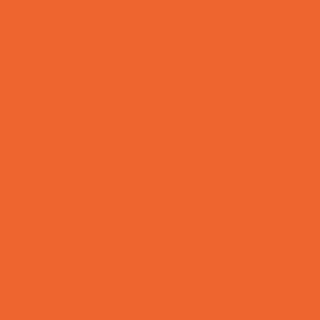 Benjamin Moore Rumba Orange (2014-20)