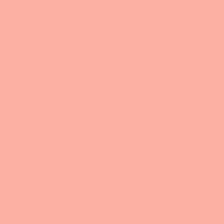 Benjamin Moore Pink Paradise (003)