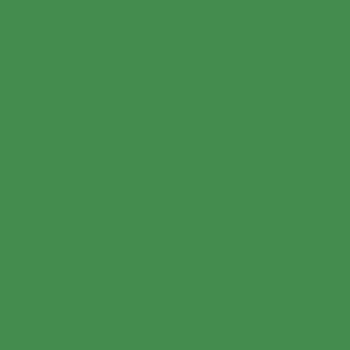 Benjamin Moore Grassy Fields (2034-30)