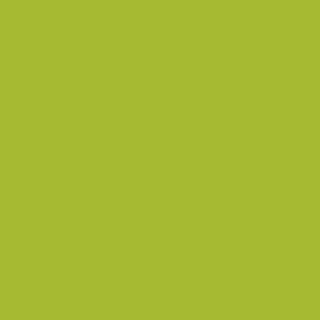 Benjamin Moore Tequila Lime (2028-30)
