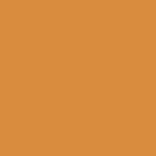 Benjamin Moore Jack O'Lantern (2156-30)