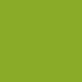 Benjamin Moore Douglas Fir (2028-20)