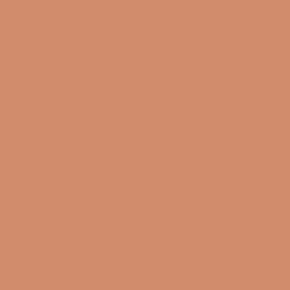 Benjamin Moore Pumpkin Patch (055)