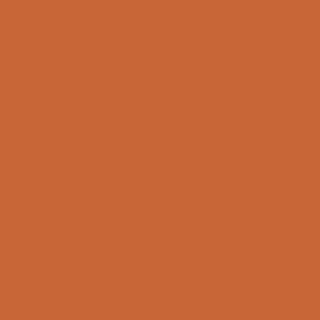 Benjamin Moore Fall Harvest (2168-10)