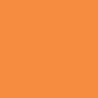 Benjamin Moore Fruit Punch (140)